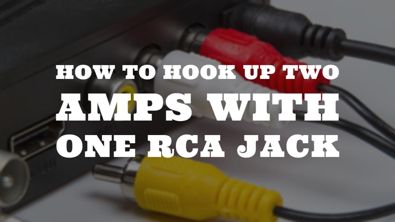 How To Hook Up Two Amps With One RCA Jack by speakerjournal.com